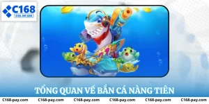 Tổng quan về bắn cá nàng tiên